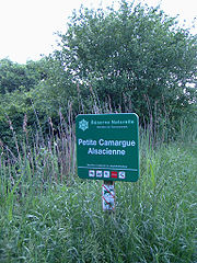 Panneau de Petite Camargue Alsacienne.jpg