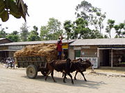Image illustrative de l'article Économie du Népal