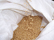 Wheat in sack.jpg