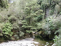 Akatarawa River West in Karapoti Gorge.jpg