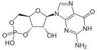 Guanosine monophosphate cyclique