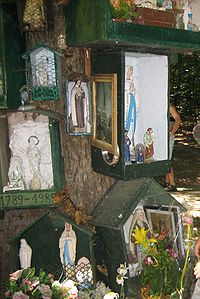 statues mariales fixées au chêne de la Vierge