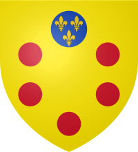 Coat of Arms of Medici.svg