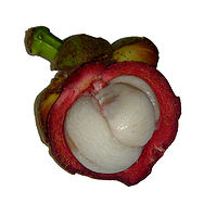 Garcinia mangostana fruit4.jpg