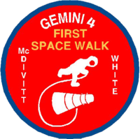 Gemini 4 insignia