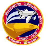Sts-51-g-patch.png