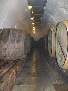 tonneaux de bois alignés dans la cave historique de la brasserie Pilsen