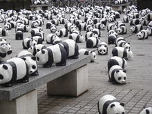 1600 pandas étaient exposés sur la grand-place de Boulogne-Billancourt à cette occasion, le 27 mars 2010