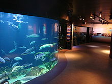 Les aquariums de Maréis