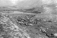 Photo de soldats japonais morts lors de la baille d'Attu.