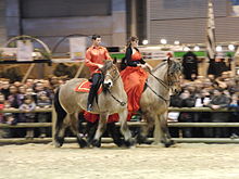 Deux grands chevaux massifs, bruns et noirs sont montés par des cavaliers costumés en rouge et noir.