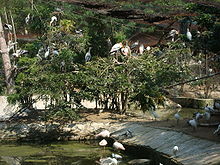 Birds Enclosure in Vandaloor Zoo.JPG