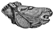 Reproduction d'une sculpture de tête de cheval avec la bouche ouverte.