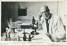 Charles Nicolle dans son laboratoire