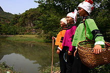 Femmes zhuang dans le district de Guangnan, Yunnan, Chine