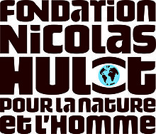 logo typographique