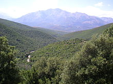 Monte Cardo