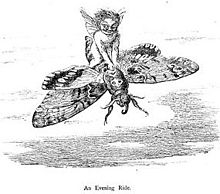 Fée ailée volant sur le dos d'un insecte.