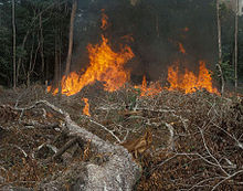 Un écobuage en progression, les flammes dévorant la végétation.