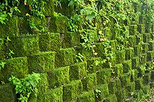 Taiwan 2009 JinGuaShi Historic Gold Mine Moss Covered Retaining Wall FRD 8940.jpg