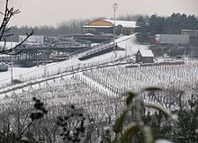 Photographie montrant un coteau de vigne couvert de neige.