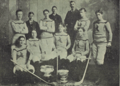 Accéder aux informations sur cette image nommée Montreal Shamrocks Club 1899.png.