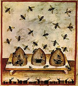 Abeilles à miel et ruches. Illustration du XIVe siècle.