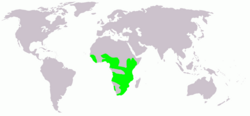 Actophilornis africana map.png