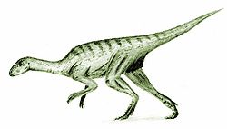  Agilisaurus louderbacki (Vue d'artiste)