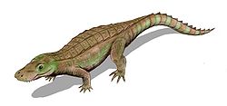 Anatosuchus