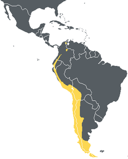Répartition du condor des Andes (en jaune sur ce graphique)