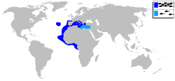 Apogon imberbis mapa.svg