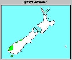 Apteryx australis Distribution.jpg