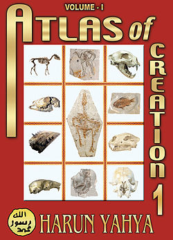 Atlas of creation cover.jpg