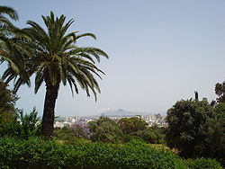Belvédère - Tunis.jpg