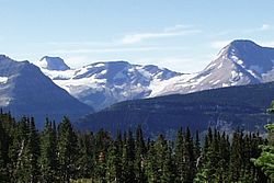 Blackfoot Glacier (gauche) et Jackson Glaciers (droite)