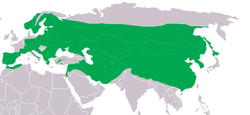 Distribution du hibou grand-duc dans le monde