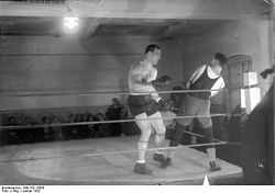 Bundesarchiv Bild 102-13050, Primo Carnera im Ring.jpg