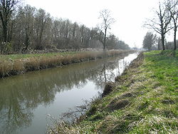 Canal Charente-Seudre 004.jpg