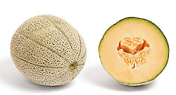 Fruit d'un melon