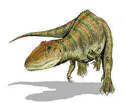  Carcharodontosaurus saharicus
