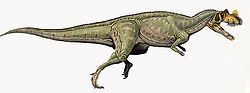  Ceratosaurus nasicornis