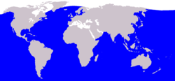 Cetacea range map Blue Whale.PNG