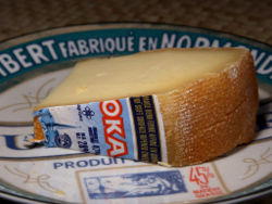 Cheese 50 bg 061506.jpg