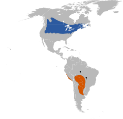 Répartition approximative bleu: zone de nidificationocre: zone d'hivernage