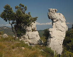 Une dolomie (roche) sur la montagne de la Loube