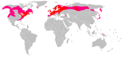 Drosera rotundifolia Distribution Map.png