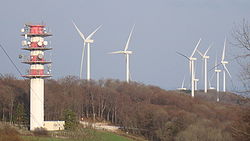 Quelques éoliennes du parc
