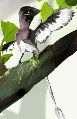  Illustration d'un Epidendrosaurus ninchengensis