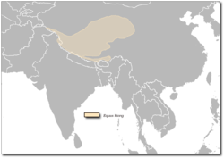 Carte de répartition des Kiangs